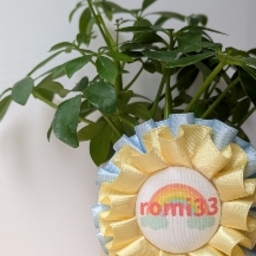 romi33
