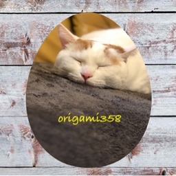 origami358