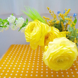 ましろのお花屋さん