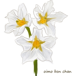 oimo bon chan