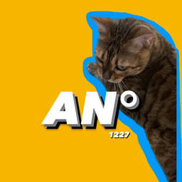 AN°