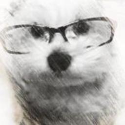 猫准
