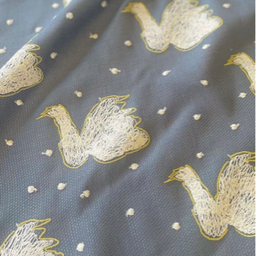 swan2011