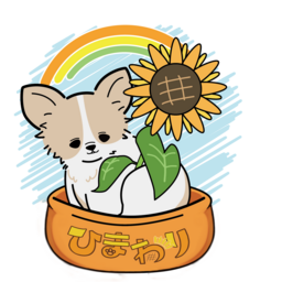 ひまわり🌻