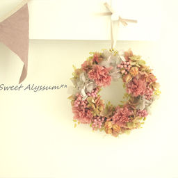 sweetalyssum