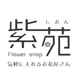 紫苑shionflower