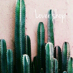 LOVER