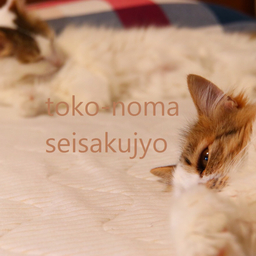 toko-noma seisakujyo