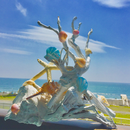 湘南流木アーティスト tiara
