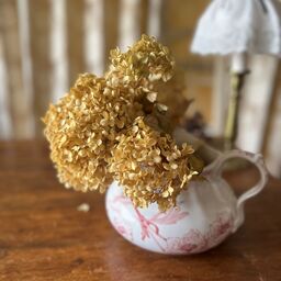 favori antique fleur
