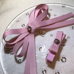 ribbonbird.sa