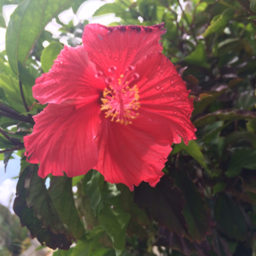 churachura_happylife