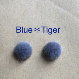 Blue＊Tiger
