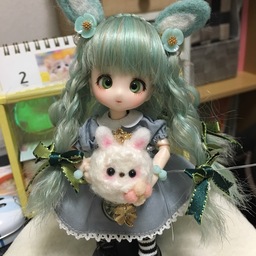 アコハ(もこもふもち)