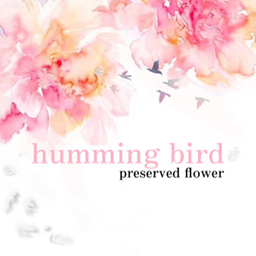 hummingbird