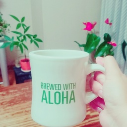 ALOHA market🍍