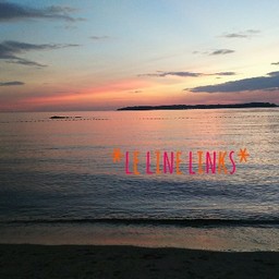*LE LIEN LINKS*