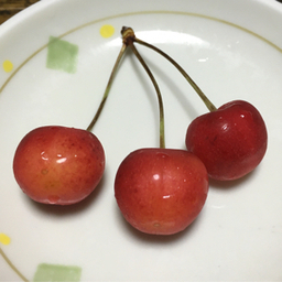 hanakohiro