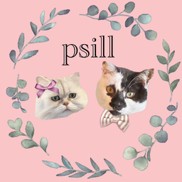 psill(プシル)