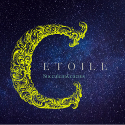 étoile-ｴﾄﾜｰﾙ-