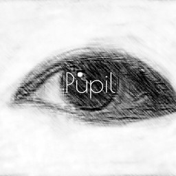 the-pupil