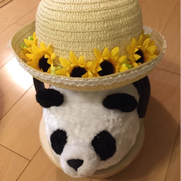 mn-flower