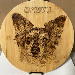 to-wood-024
