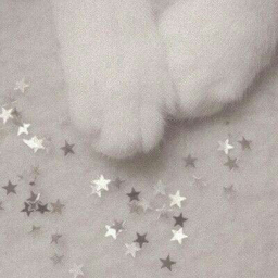 sugarmeow