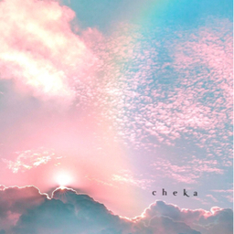cheka358