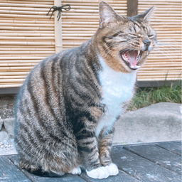 きりん