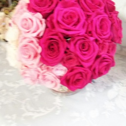 rosegarden-y