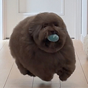 ちろるん