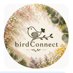 ➖bird    connect➖