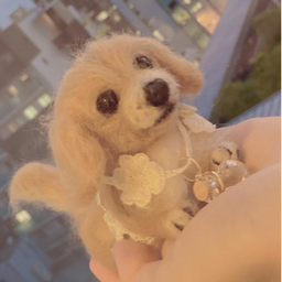 犬りら