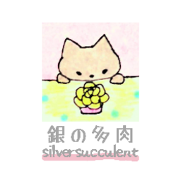銀の多肉