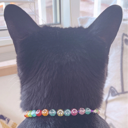 niya niyaを作る人