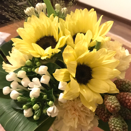 みかん工房