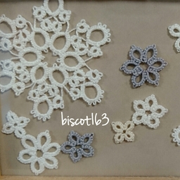 biscot163