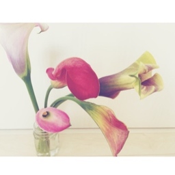 Lily/リリー
