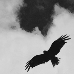 WDPE （ワールドピース）