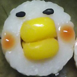 N-GORHA