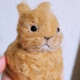 ピッコローレ()•ω•()