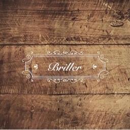 Briller