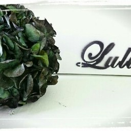 Lulun0223