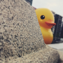 いここ