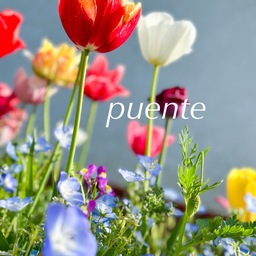 puente