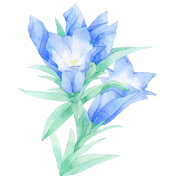 bellflower86