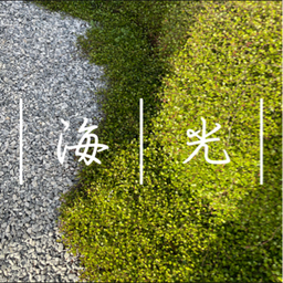 ｜ 海 ｜ 光 ｜