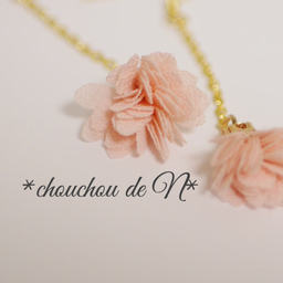 ＊chouchou de N＊