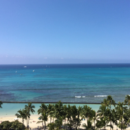 HI Aloha Life 